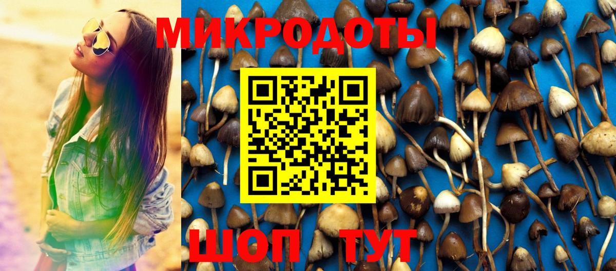 Лосино-Петровский  Галлюциногенные грибы мицелий  Вход с VPN  Псилоцибиновые грибы MAGIC MUSHROOMS 